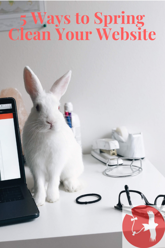 Spring Clean Website Five Ways to Spring Clean Your Website | Red Kite Services